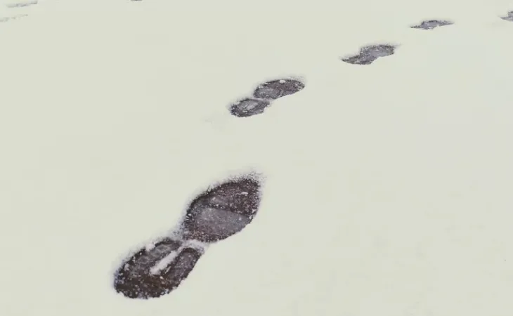 Следы на снегу 