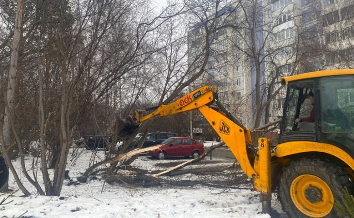 Снос дерева 