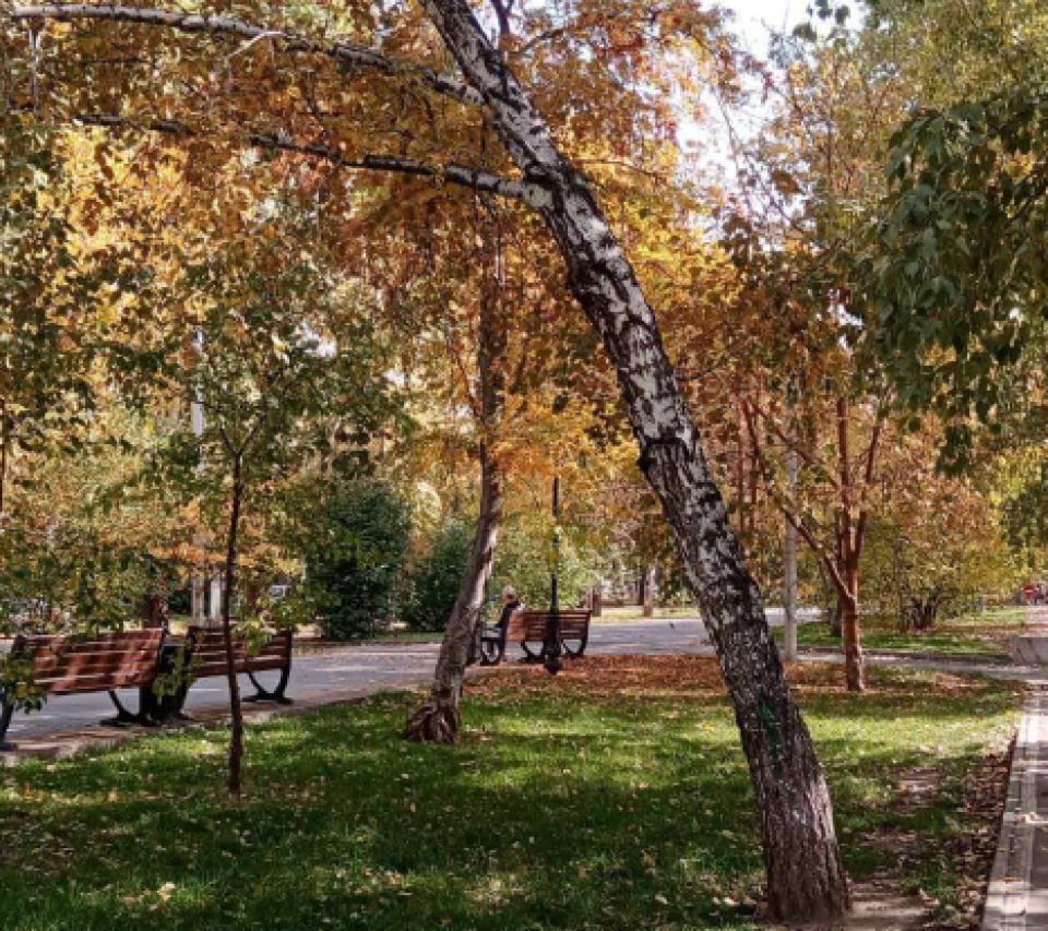 Дерево под наклоном 