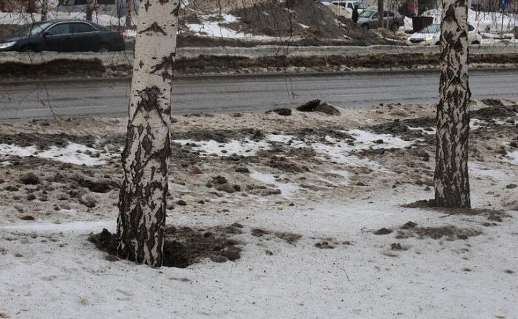 Барнаул 