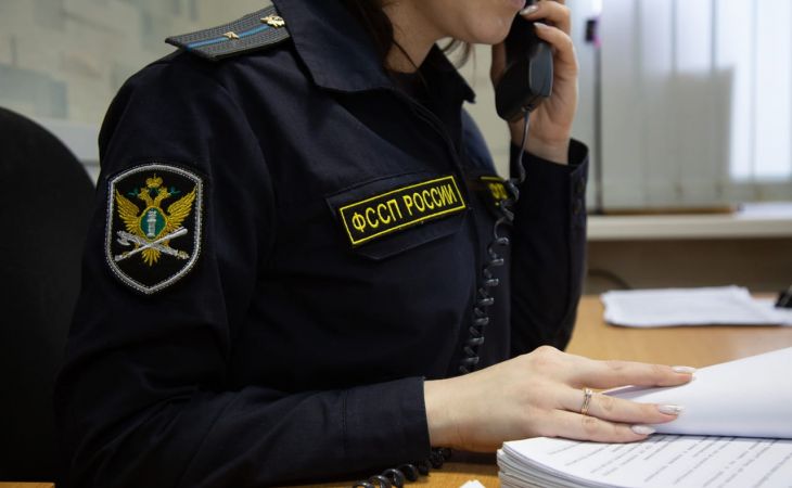 Судебные приставы
