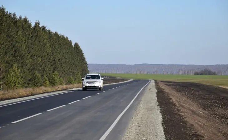 Дорога в Алтайском крае