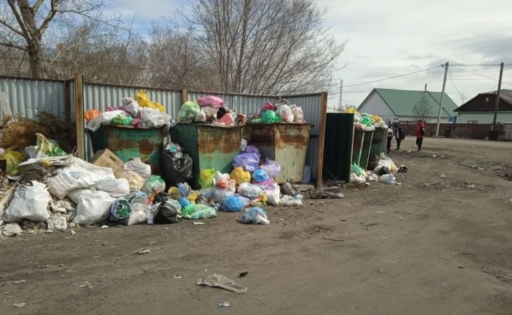 Мусор в Кулунде