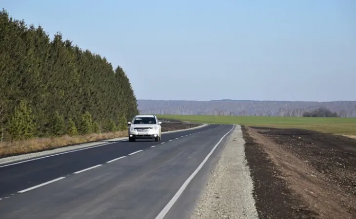 Дорога в Алтайском крае