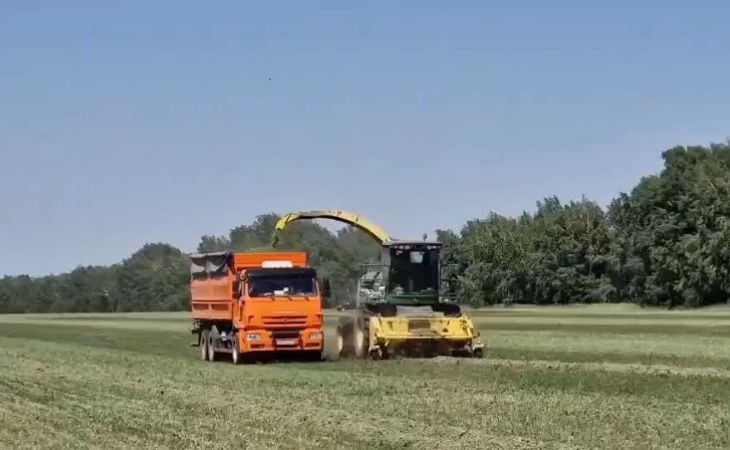 Сельское хозяйство