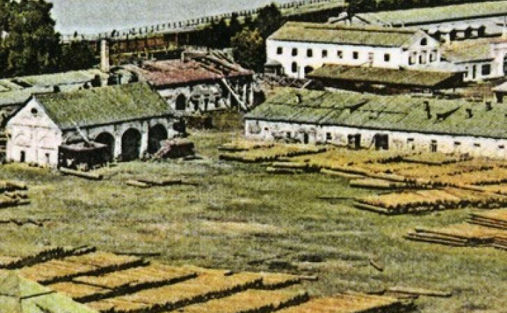 Горнозаводское дело на Алтае
