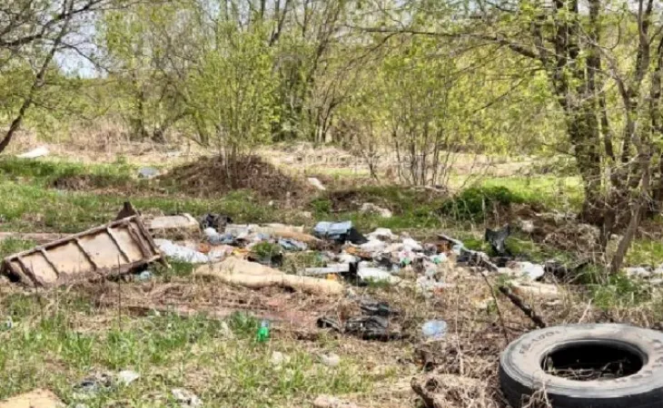 Свалка в Красногорском районе