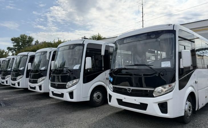 Новые автобусы
