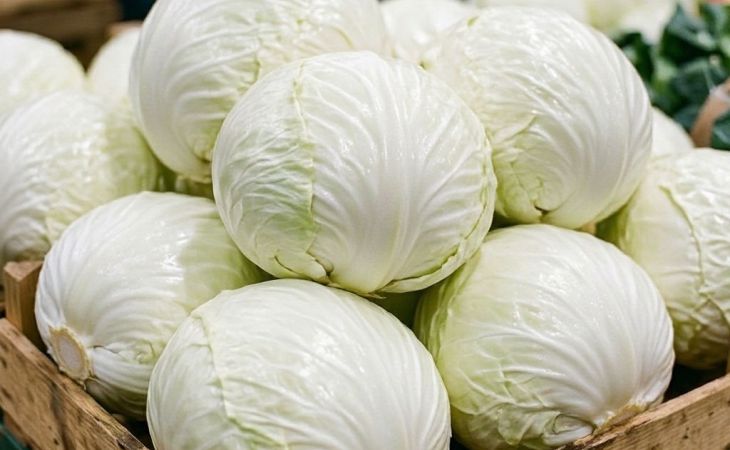 Капуста
