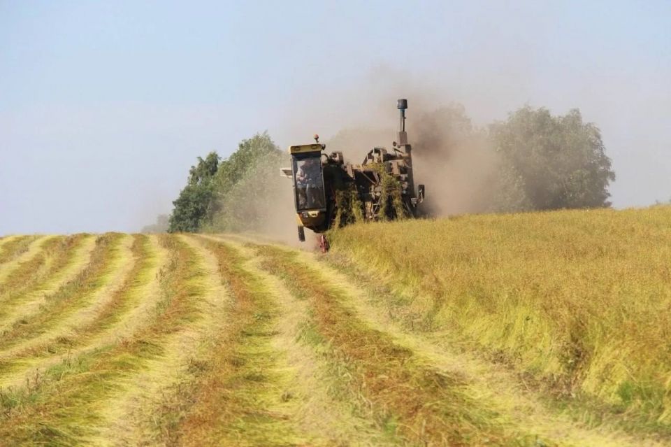 Уборка урожая