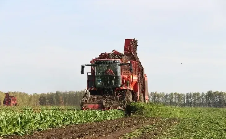 Уборка урожая