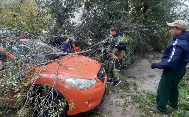 Последствия непогоды