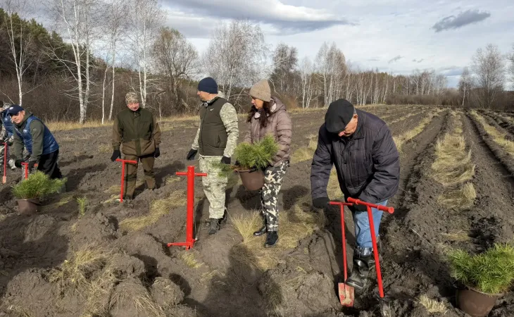 Акция "Сохраним лес"
